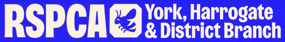RSPCA York
